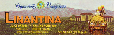 Linantina   